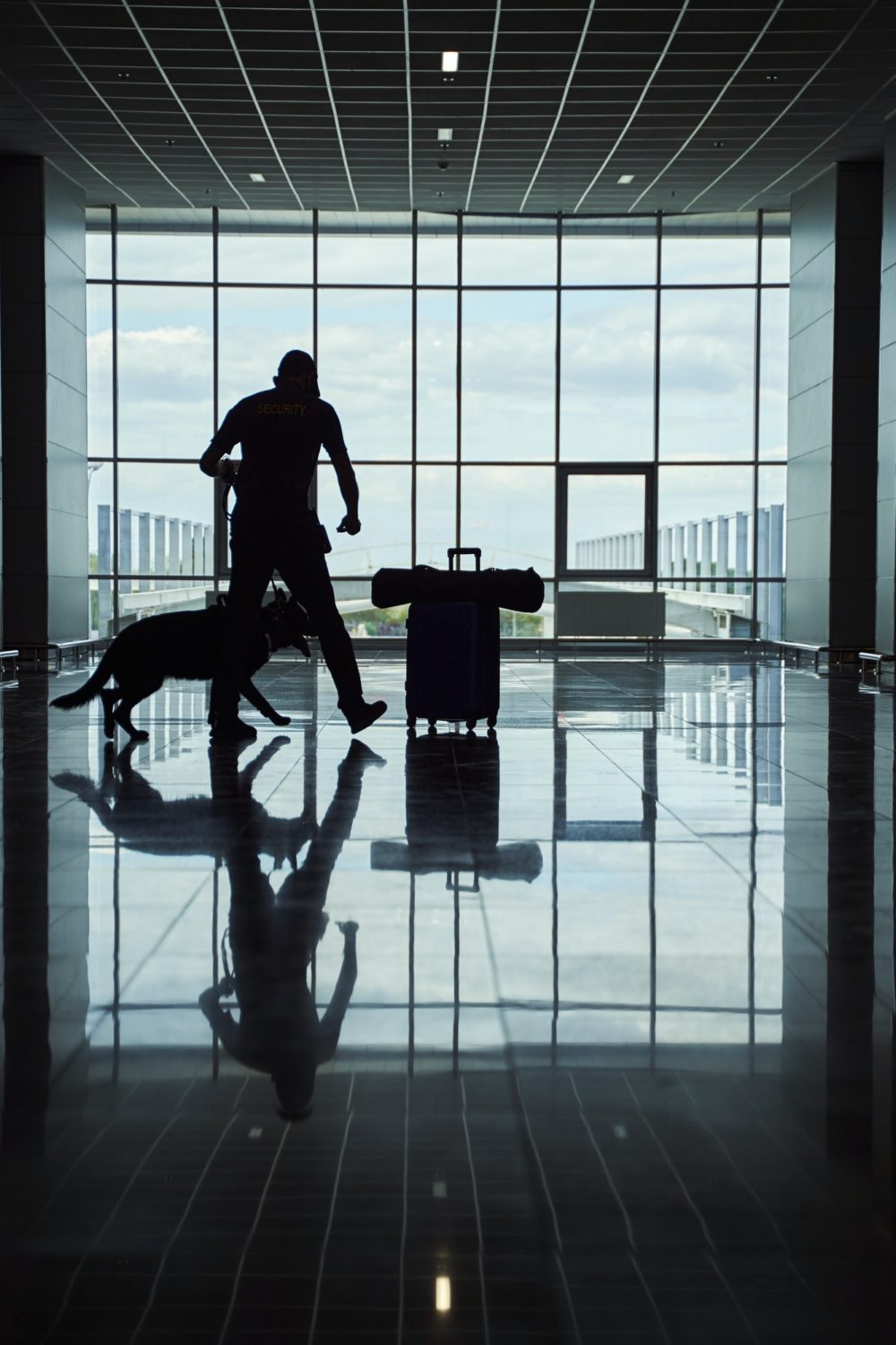 security-worker-with-detection-dog-checking-luggage-at-airport-e1631423658153